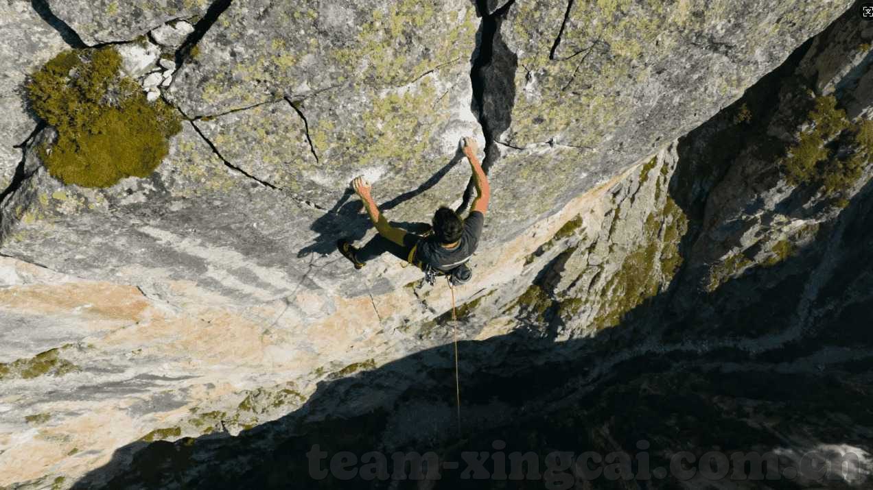 剑网3手游九游版下载-探索剑网3手游九游版下载新体验